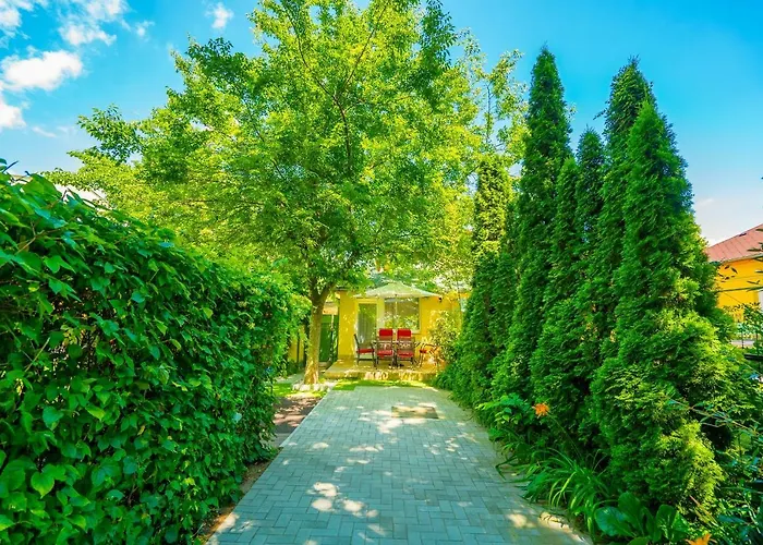 Maria Ii. 시오포크